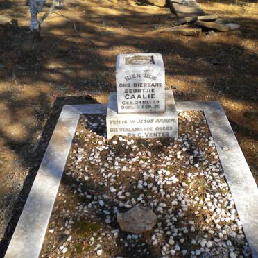 VENTER Caalie 1929-1930