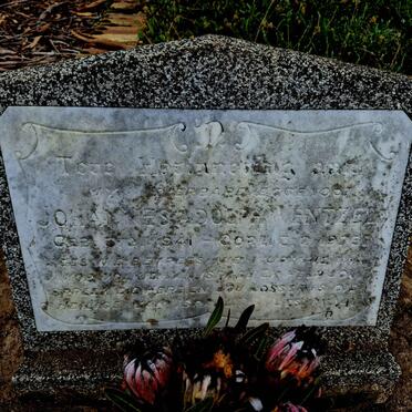 WENTZEL Johannes Adolph 1941-197?