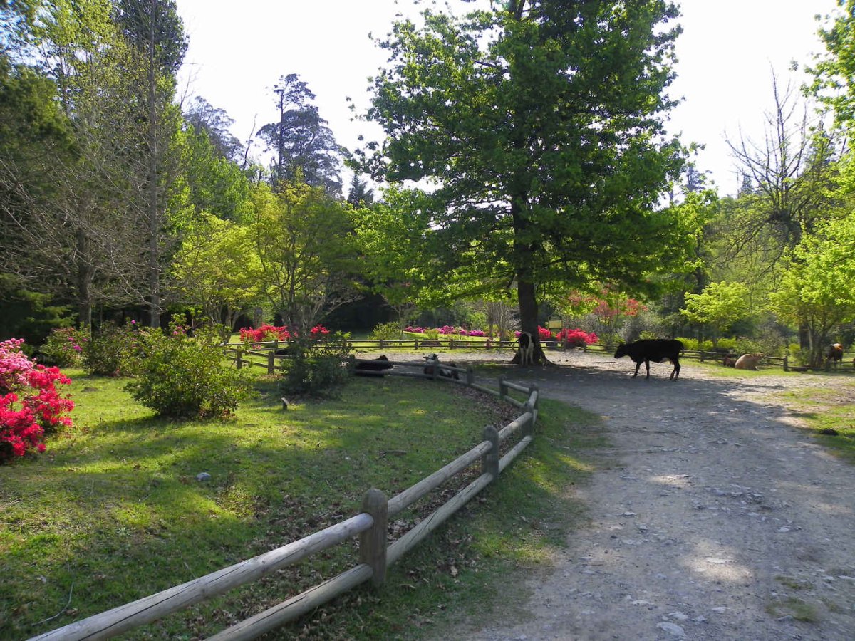 2. Overview / Oorsig
