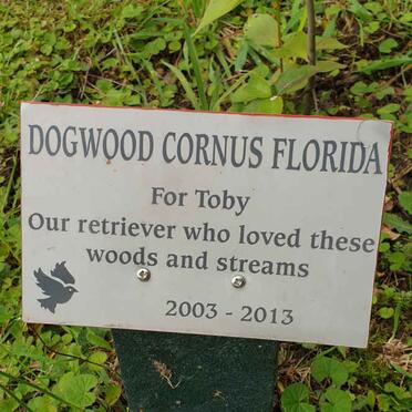 Toby 2003-2013