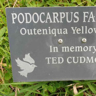 CUDMORE Ted