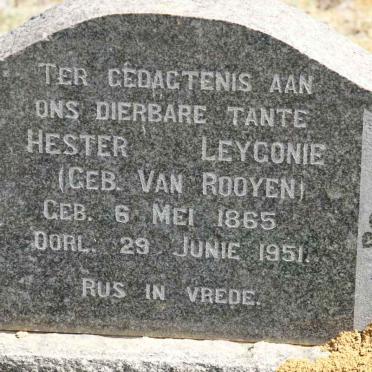LEYGONIE Hester nee VAN ROOYEN 1865-1951