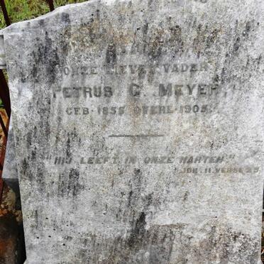 MEYER Petrus G. 1855-1905