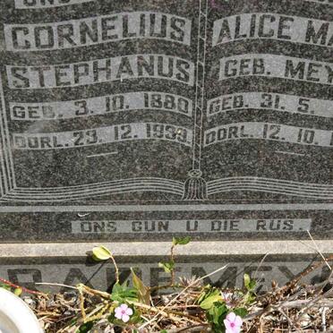 RADEMEYER Cornelius Stephanus 1880-1939 &amp; Alice Maria MEYER 1889-1950