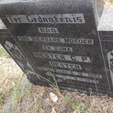 BESTER Hester C.P. nee DE KLERK 1895-1973
