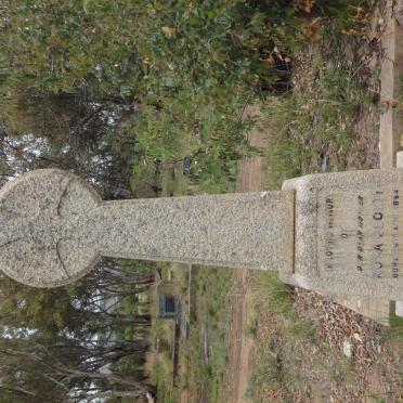 CLOETE Rosa 1884-1948