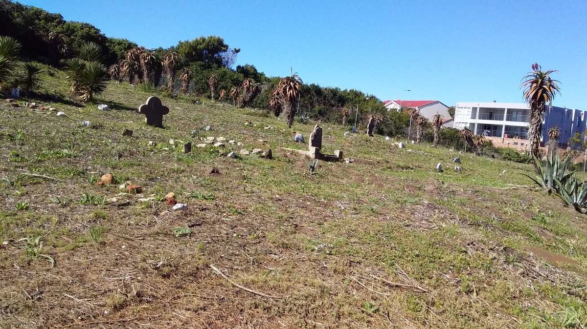 4. Overview / Oorsig