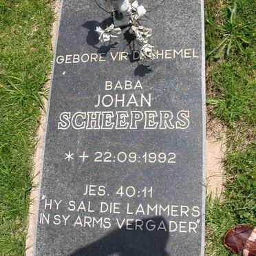SCHEEPERS Johan 1992-1992