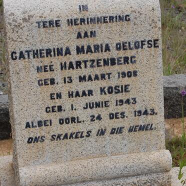 OELOFSE Catherina Maria nee HARTZENBERG 1908-1943 :: OELOFSE Kosie 1943-1943