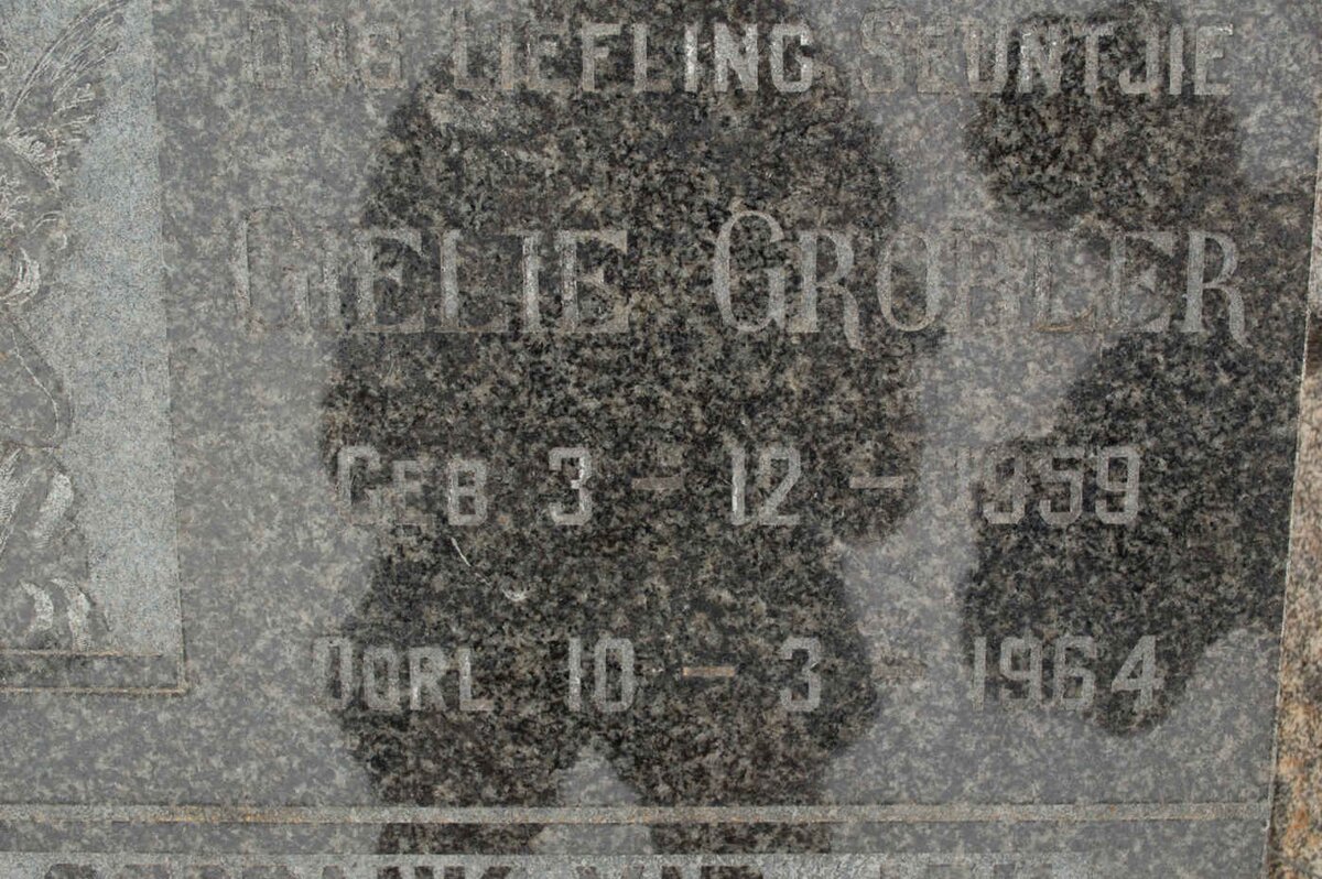 GROBLER Gielie 1959-1964