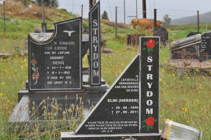 STRYDOM Denis 1938-1993 &amp; Elmi HERDER 1940-2911