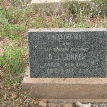 Eastern Cape, JOUBERTINA district, Bo-Komgha, Louterwater, cemetery_2