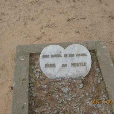 ? Okkie &amp; Hester