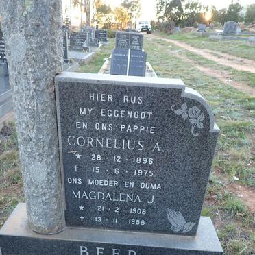 BEER Cornelius A. 1896-1975 & Magdalena J. 1908-1988