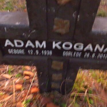 KOGANA Adam 1938-2012