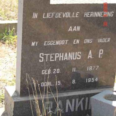 RANKIN Stephanus A. P. 1877-1954