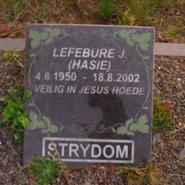 STRYDOM Lefebure J. 1950-2002