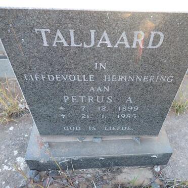 TALJAARD Petrus A. 1899-1985