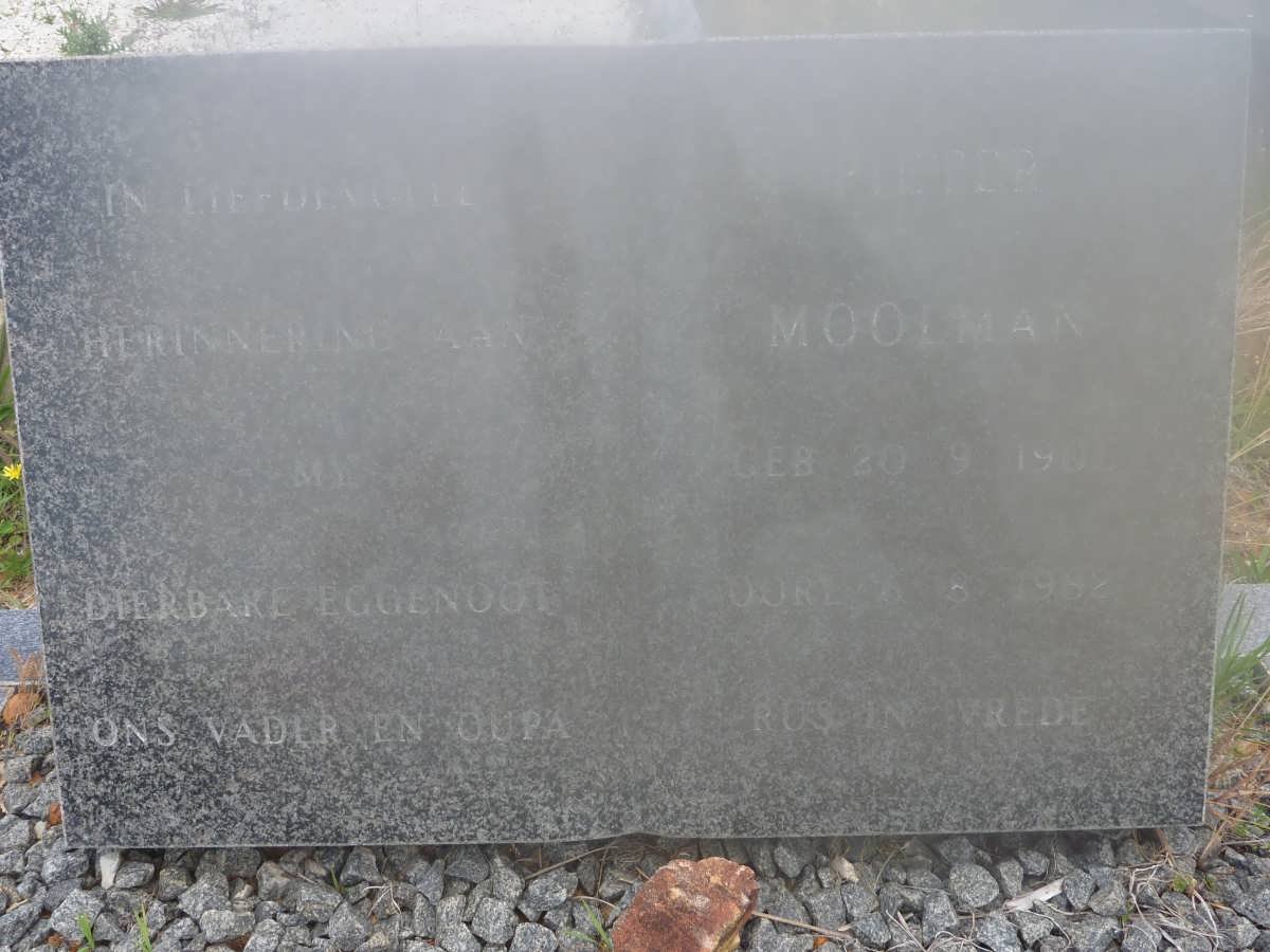 MOOLMAN Pieter 190?-196?2