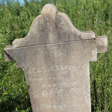 ADRIAAN Aculas 1831-1936