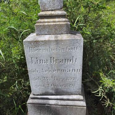 BRANDT Lina nee ACKERMANN 1860-1891
