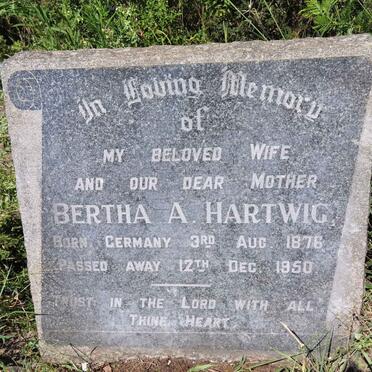 HARTWIG Bertha A. 1876-1950