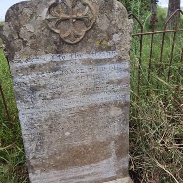 JOYCE Malaghy -1873 :: JOYCE Elizabeth Catherine :: COGHLAN John Les Patrick -18?