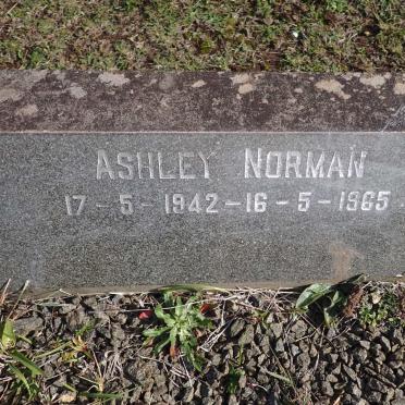 WARREN Ashley Norman 1942-1965