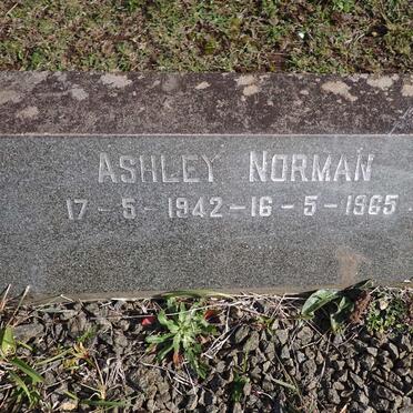 WARREN Ashley Norman 1942-1965