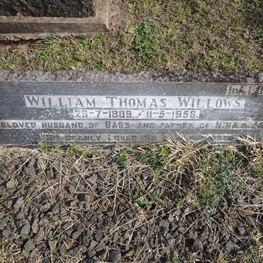 WILLOWS William Thomas 1889-1956 &amp; Beatrice Florence 1889-1971 _1