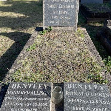 HONEY :: BENTLEY :: WARREN :: WOOD