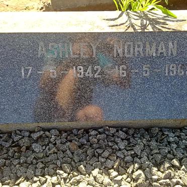 WARREN Ashley Norman 1942-1965