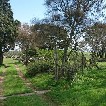 1. Overview / Oorsig