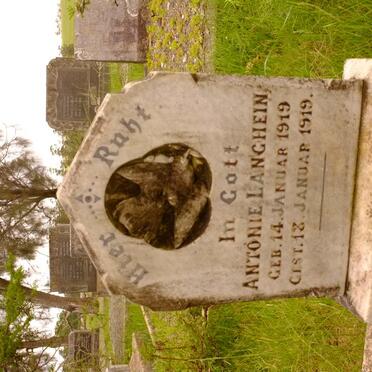 LANGHEIN Antonie 1919-1919