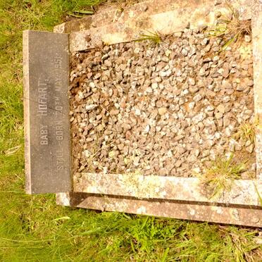 HOFART Baby 1951-1951