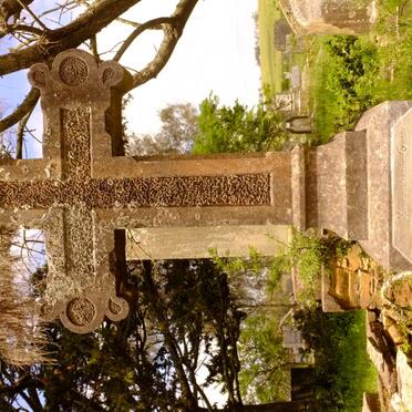 HOMANN Friedrich Ch. 1833-1886