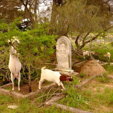 4. Overview / Oorsig