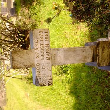 SPARG Hugo 1879-1881