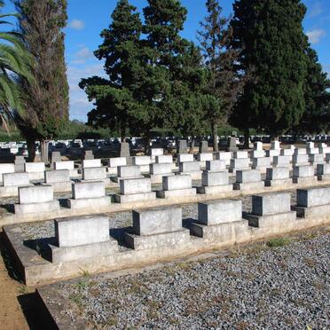 07. Overview / Oorsig