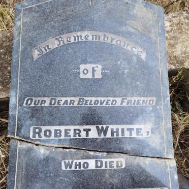 WHITE Robert -1919