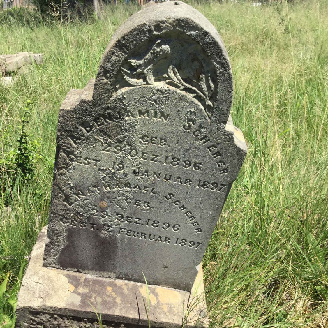 SCHERER A. Benjamin 1896-1897 :: SCHERER E. Nathanael 1896-1897