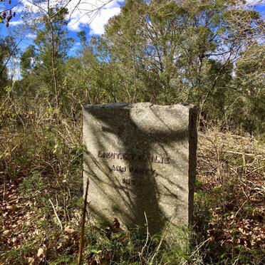 2. Overview / Oorsig