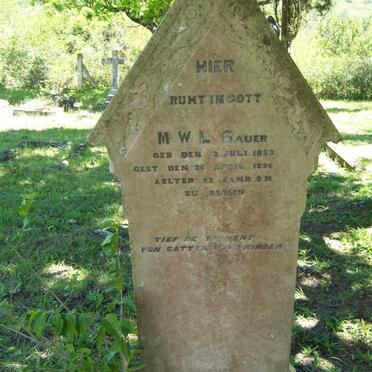 BAUER M.W.L. 1853-1896