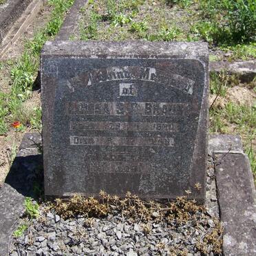 BRAUN Louisa S.C. 1880-1958