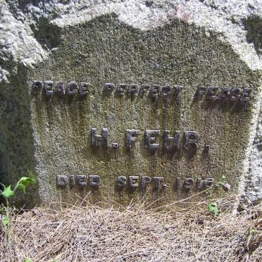 FEHR H. -1910