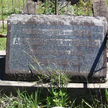 GIERKE Auguste Friederike 1872-1936