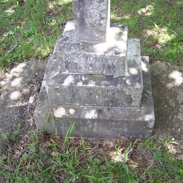 JOHL M. nee ZILLMANN 1847-1930