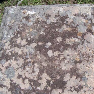 MOLDENHAUER H.G.E. 1827-1888