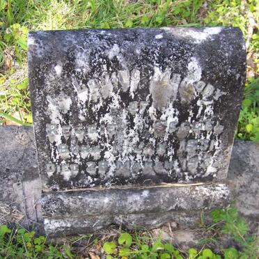 SERGEL Reggie 1931-1932