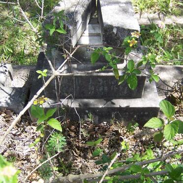 SCHULTZ Emil H.J. 1892-1921